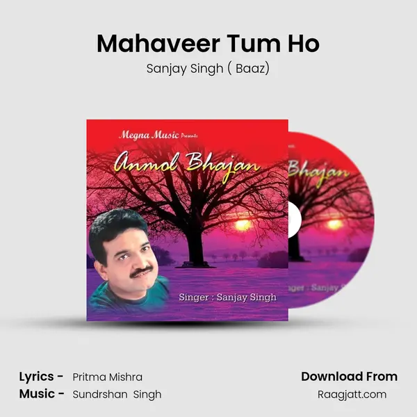 Mahaveer Tum Ho mp3 song