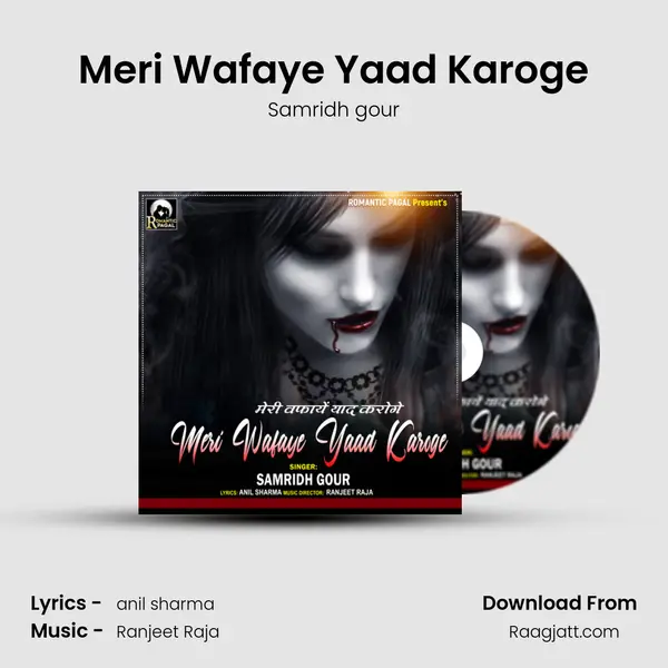 Meri Wafaye Yaad Karoge mp3 song