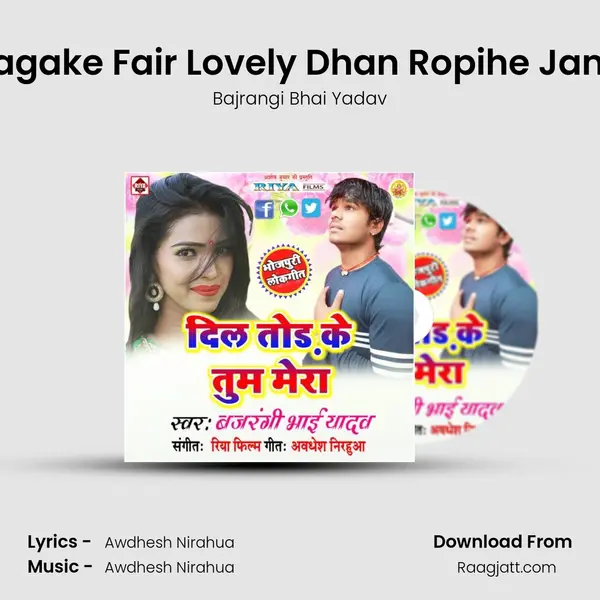 Dj Akhil Lagake Fair Lovely Dhan Ropihe Jani Re Pagli mp3 song