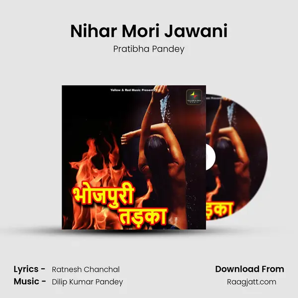 Nihar Mori Jawani - Pratibha Pandey album cover 