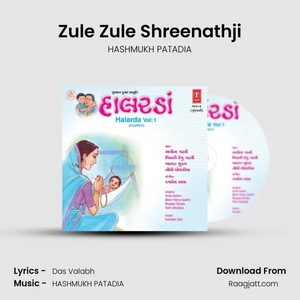 Zule Zule Shreenathji - HASHMUKH PATADIA album cover 