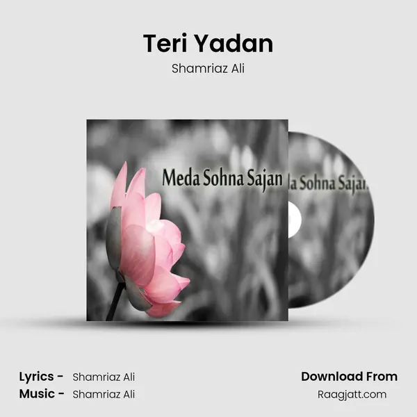 Teri Yadan - Shamriaz Ali album cover 