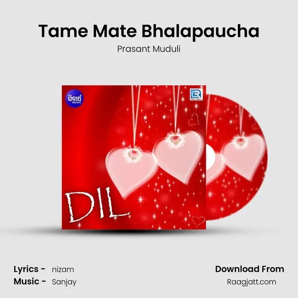 Tame Mate Bhalapaucha mp3 song