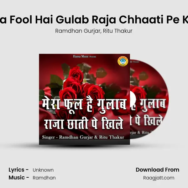 Mera Fool Hai Gulab Raja Chhaati Pe Khile mp3 song