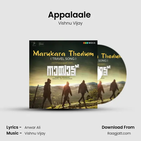 Appalaale (Karaoke Version) - Vishnu Vijay album cover 