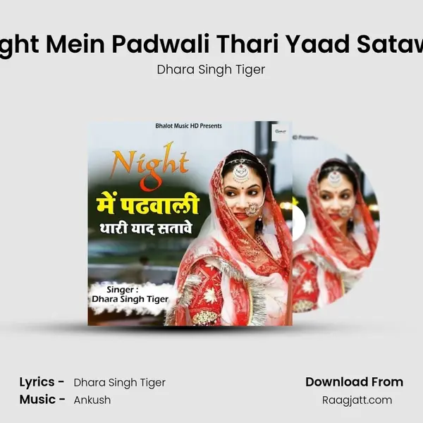 Night Mein Padwali Thari Yaad Satawe - Dhara Singh Tiger album cover 