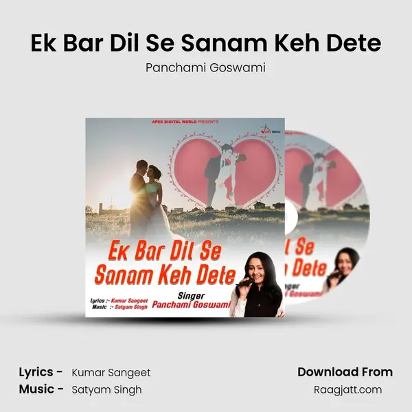 Ek Bar Dil Se Sanam Keh Dete mp3 song