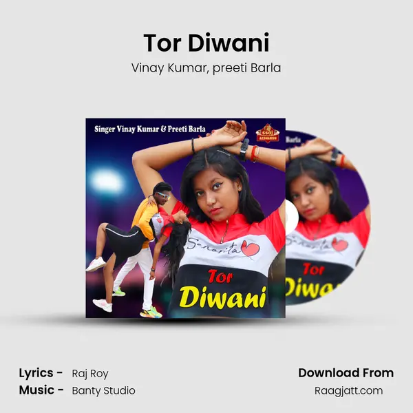 Tor Diwani - Vinay Kumar album cover 