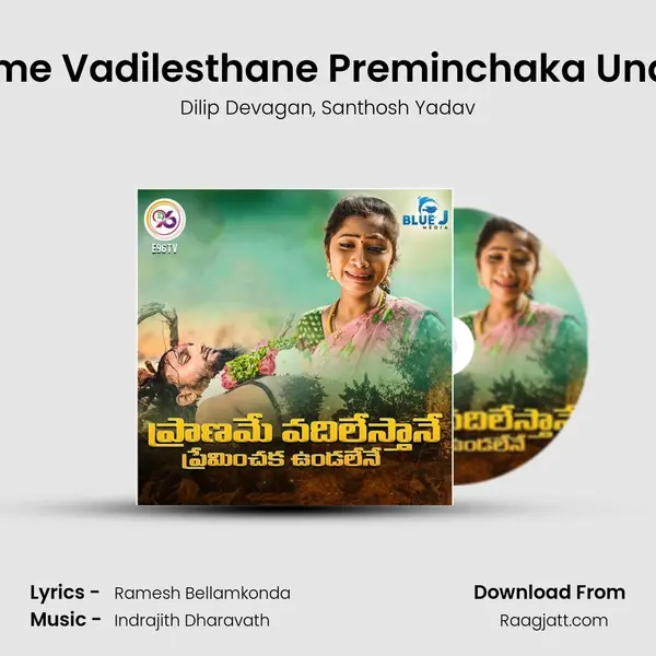 Praname Vadilesthane Preminchaka Undalene mp3 song