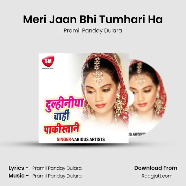 Meri Jaan Bhi Tumhari Ha - Pramil Panday Dulara album cover 