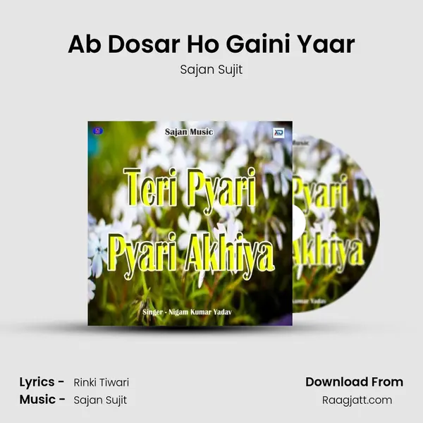 Ab Dosar Ho Gaini Yaar - Sajan Sujit album cover 