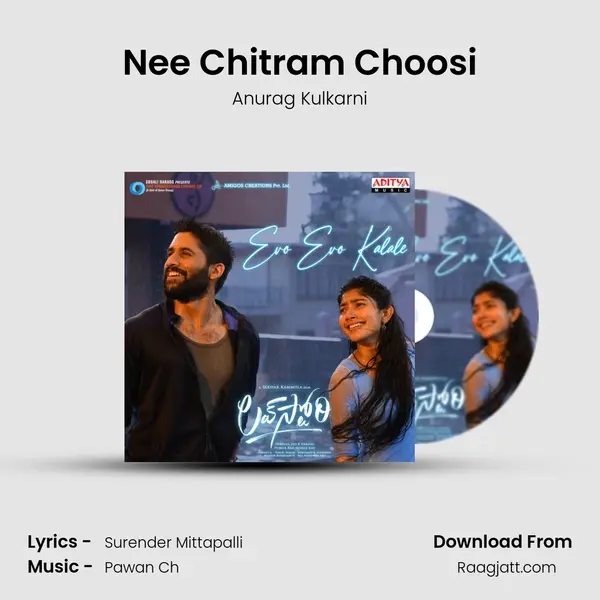 Nee Chitram Choosi - Anurag Kulkarni album cover 