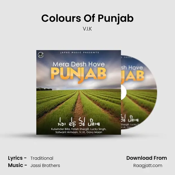 Colours Of Punjab - V.I.K album cover 