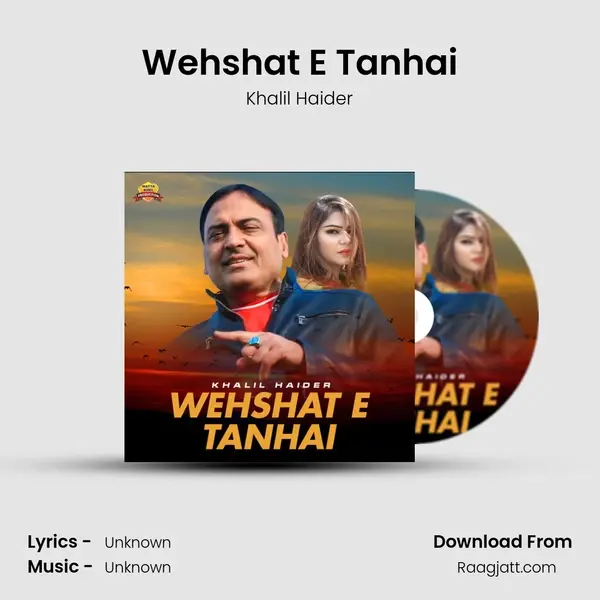 Wehshat E Tanhai - Khalil Haider album cover 