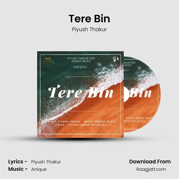 Tere Bin mp3 song