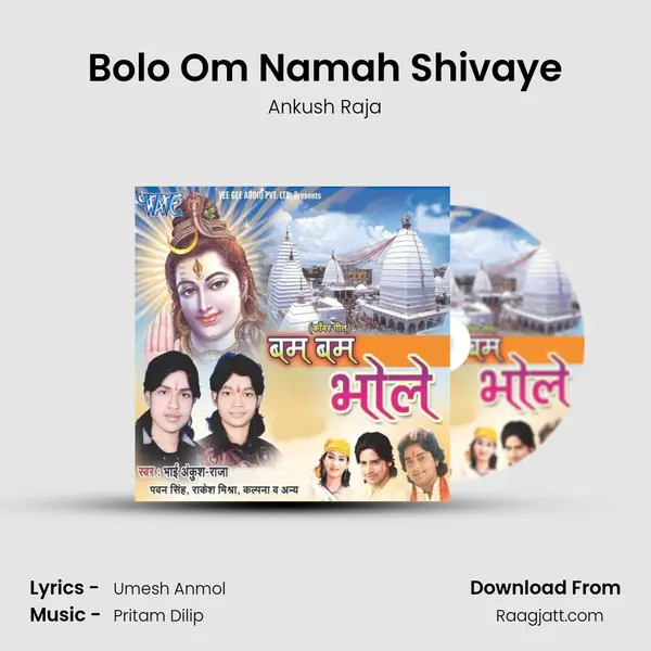 Bolo Om Namah Shivaye mp3 song