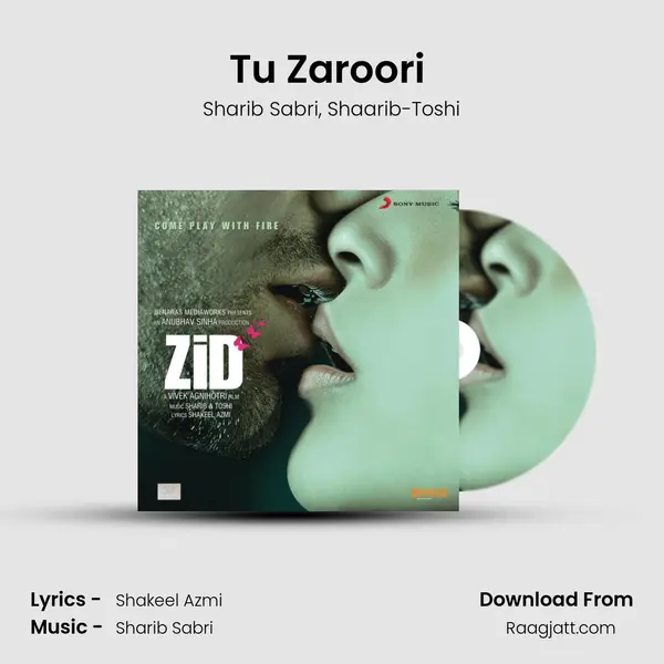 Tu Zaroori (Male) - Sharib Sabri album cover 