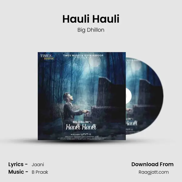 Hauli Hauli - Big Dhillon album cover 