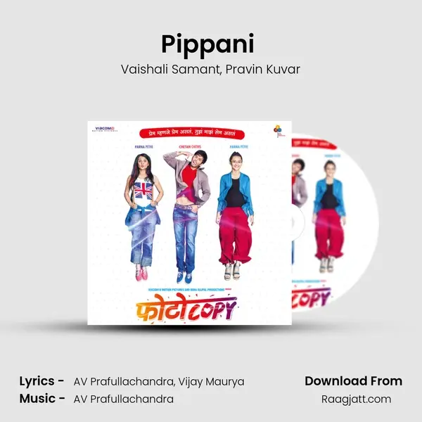 Pippani (Duet) - Vaishali Samant album cover 