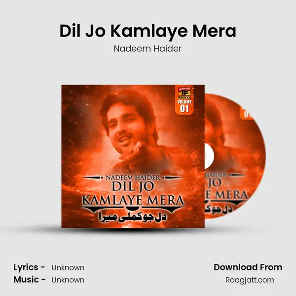 Dil Jo Kamlaye Mera - Nadeem Haider album cover 