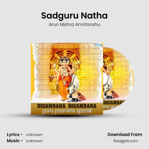 Sadguru Natha - Arun Mishra Amritanshu album cover 