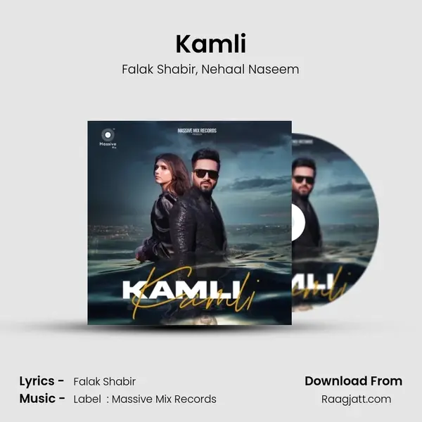 Kamli - Falak Shabir album cover 