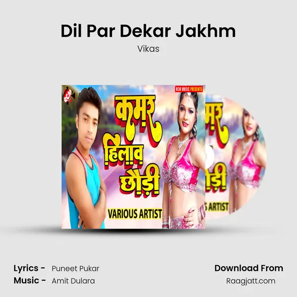 Dil Par Dekar Jakhm - Vikas album cover 