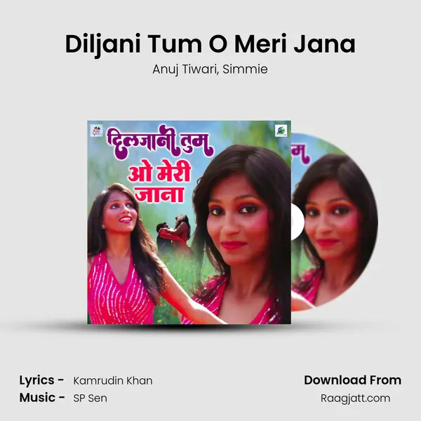 Diljani Tum O Meri Jana - Anuj Tiwari album cover 