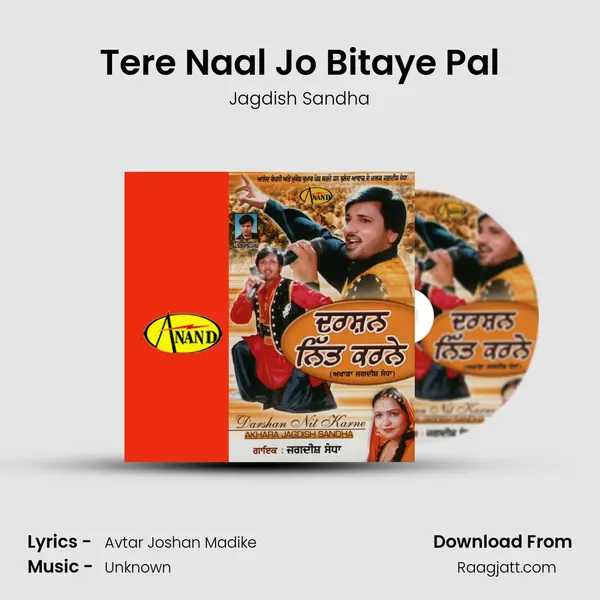 Tere Naal Jo Bitaye Pal - Jagdish Sandha album cover 