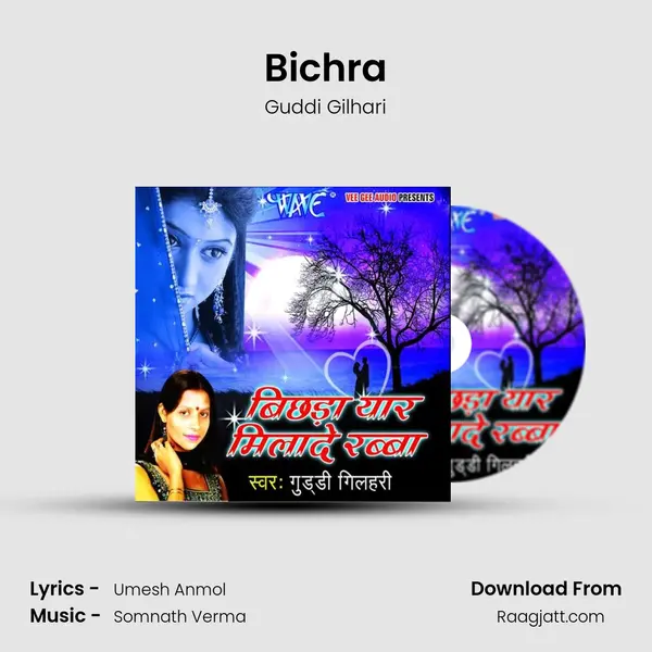 Bichra - Guddi Gilhari album cover 