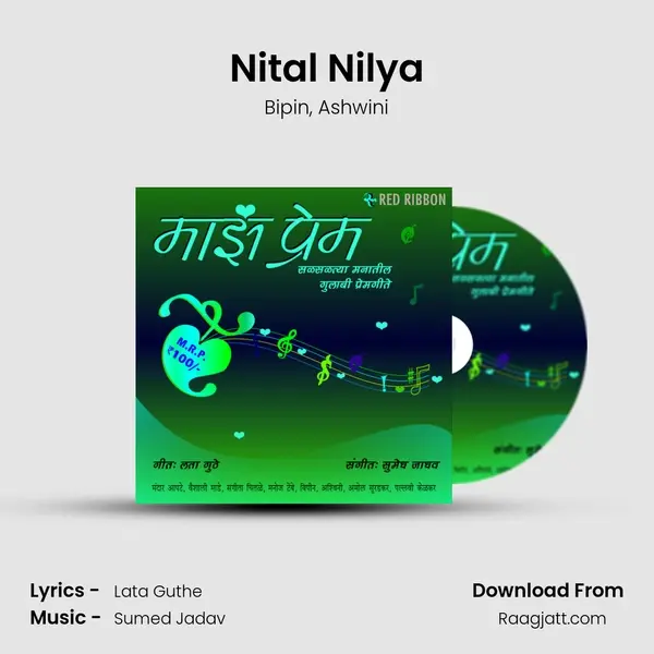 Nital Nilya - Bipin album cover 