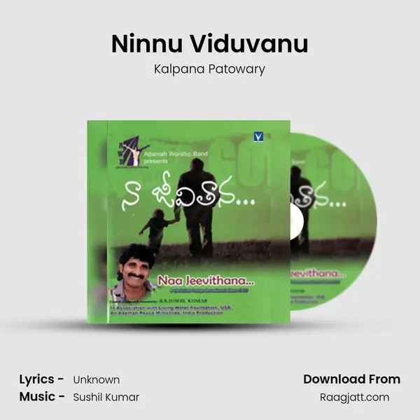 Ninnu Viduvanu mp3 song