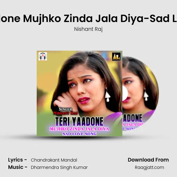 Teri Yaadone Mujhko Zinda Jala Diya-Sad Love Song - Nishant Raj album cover 