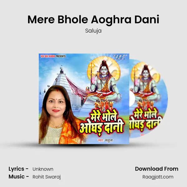 Mere Bhole Aoghra Dani - Saluja album cover 