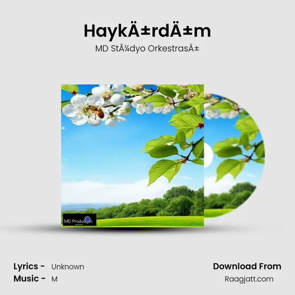 HaykÄ±rdÄ±m mp3 song