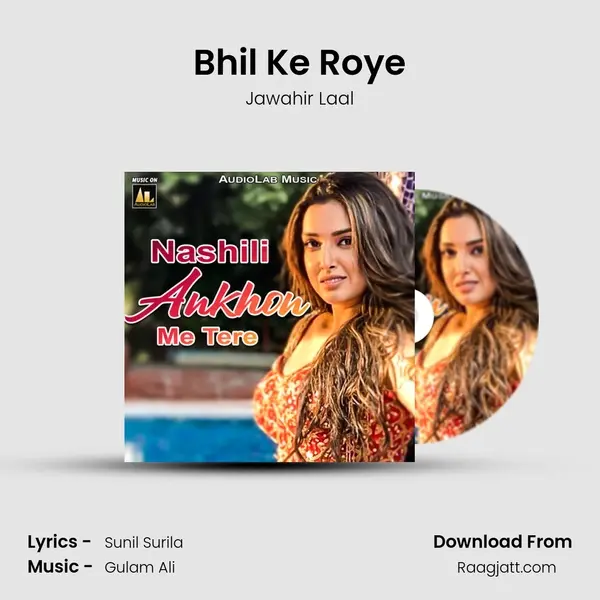 Bhil Ke Roye - Jawahir Laal album cover 