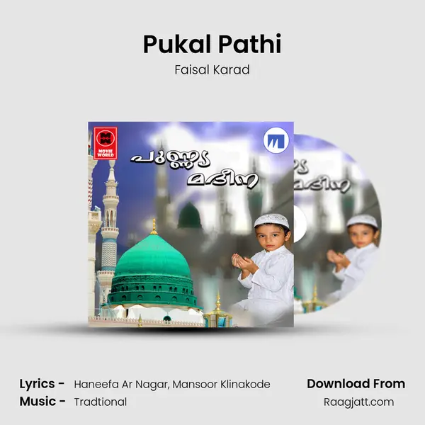 Pukal Pathi - Faisal Karad album cover 