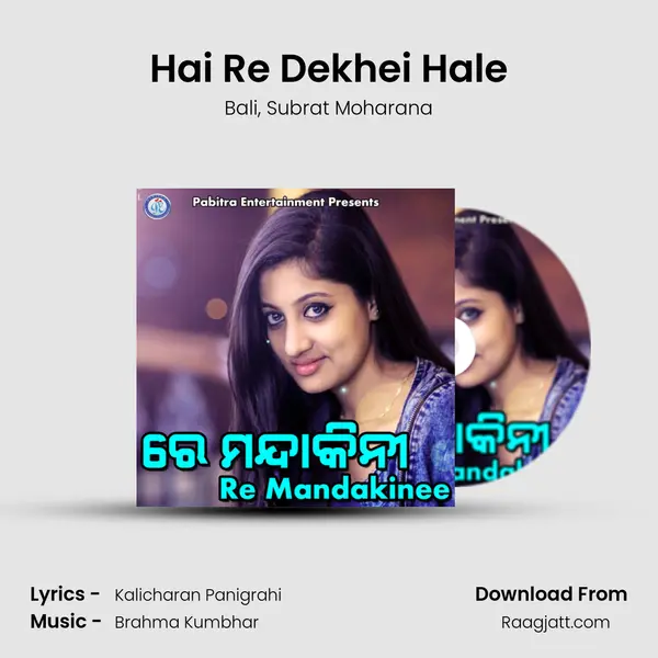 Hai Re Dekhei Hale - Bali album cover 