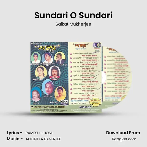 Sundari O Sundari - Saikat Mukherjee mp3 song