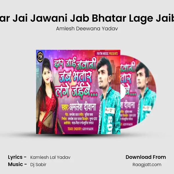 jhar Jai Jawani Jab Bhatar Lage Jaibe mp3 song