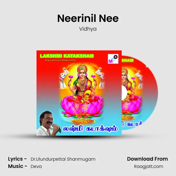 Neerinil Nee mp3 song