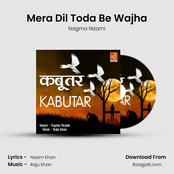 Mera Dil Toda Be Wajha - Nagma Nizami album cover 