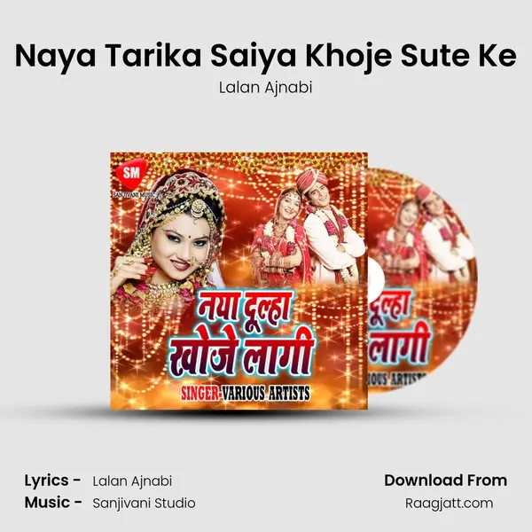 Naya Tarika Saiya Khoje Sute Ke mp3 song