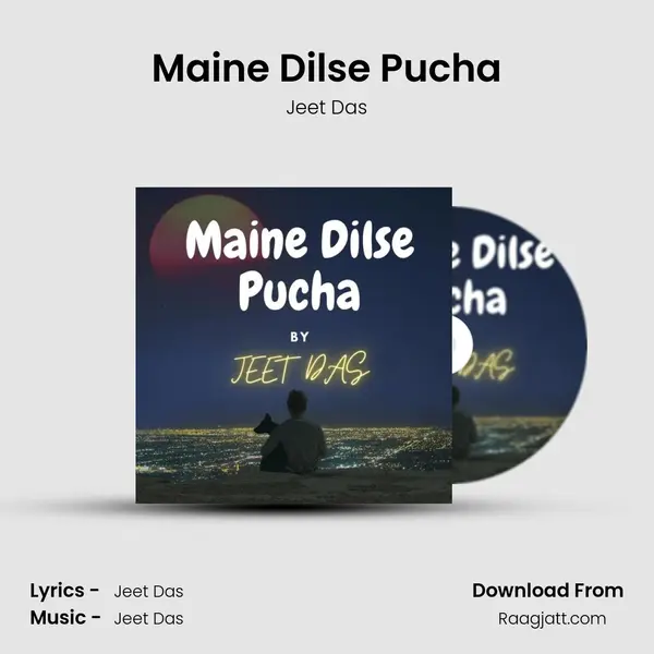 Maine Dilse Pucha mp3 song