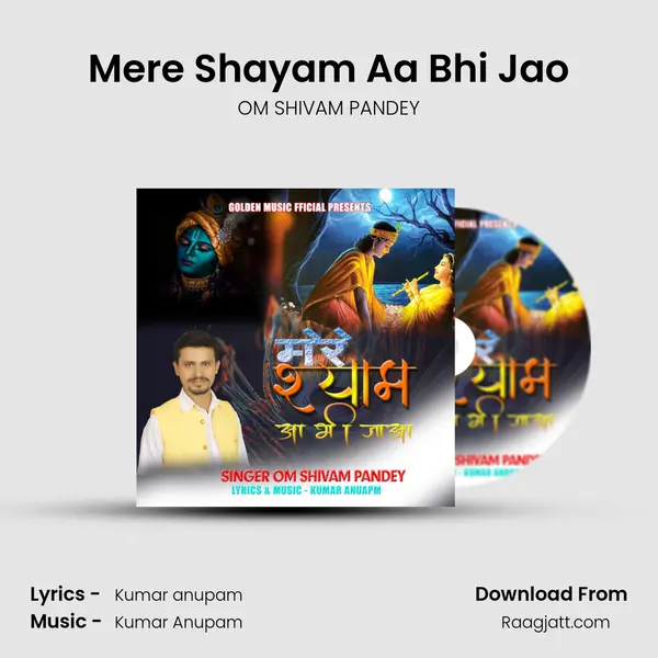 Mere Shayam Aa Bhi Jao - OM SHIVAM PANDEY album cover 