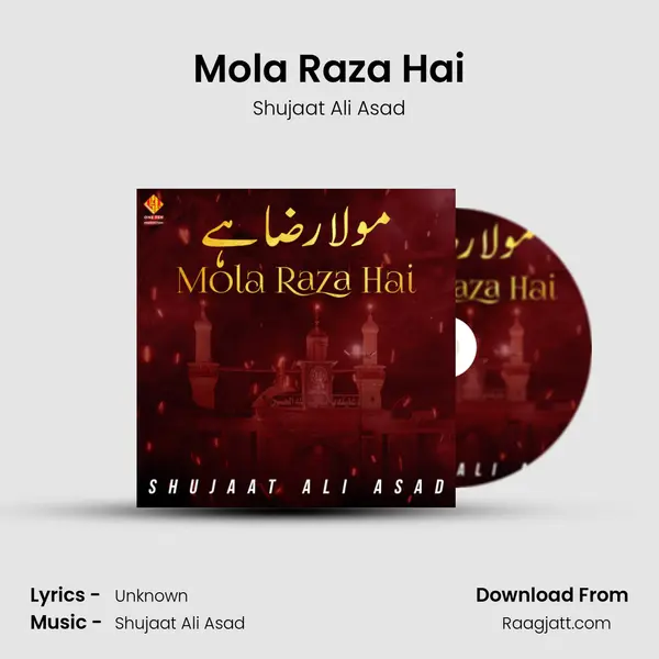 Mola Raza Hai - Shujaat Ali Asad album cover 