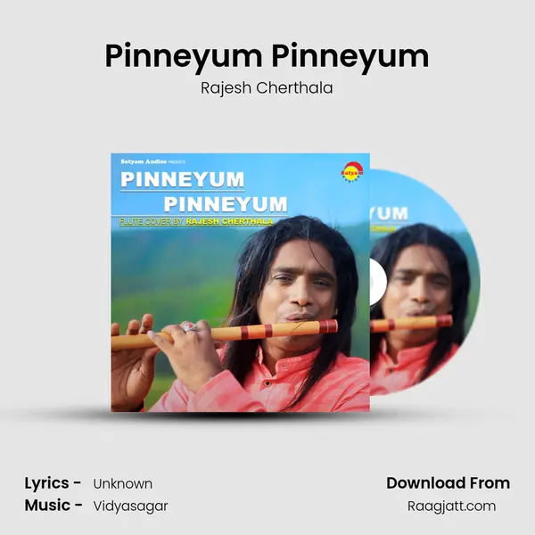 Pinneyum Pinneyum mp3 song