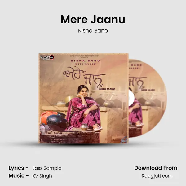 Mere Jaanu - Nisha Bano album cover 