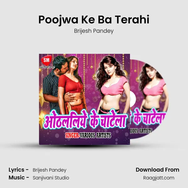 Poojwa Ke Ba Terahi - Brijesh Pandey album cover 