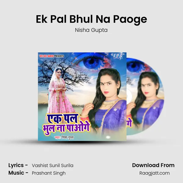 Ek Pal Bhul Na Paoge mp3 song